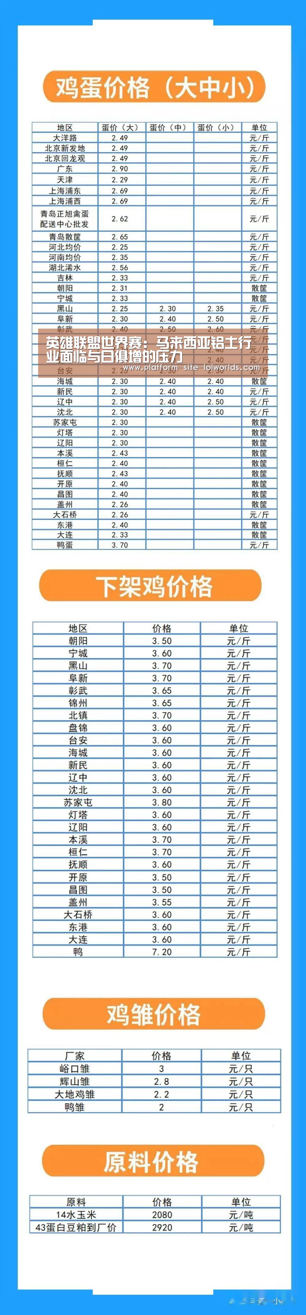 世界赛官网