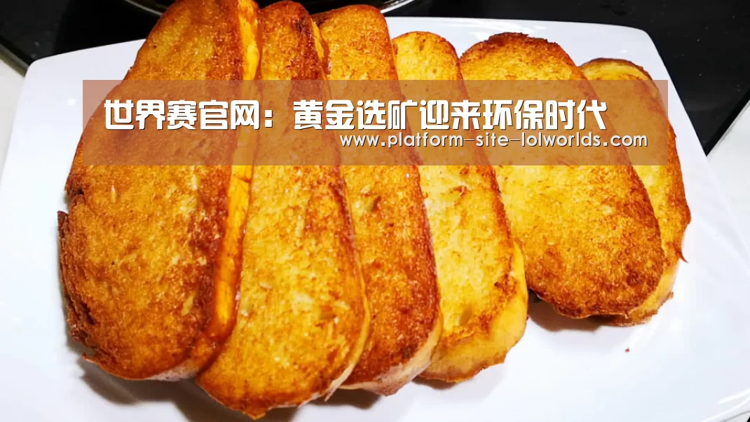 世界赛官网:黄金选矿迎来环保时代(图1) 英雄联盟世界赛