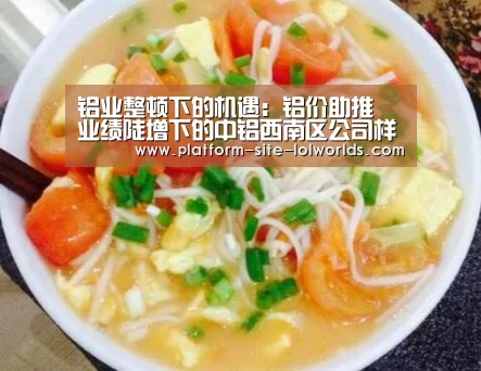 铝业整顿下的机遇:铝价助推 业绩陡增下的中铝西南区公司样本:世界赛官网(图1) 世界赛官网